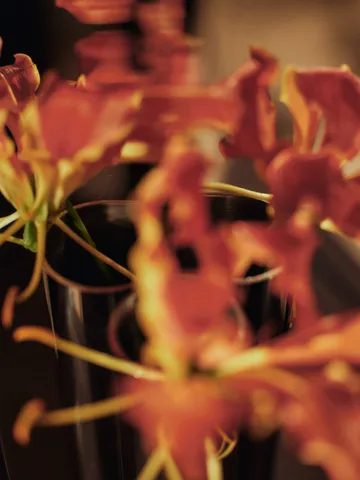 Eddy veggvase - Speilblankt rustfritt stål - Ferm Living