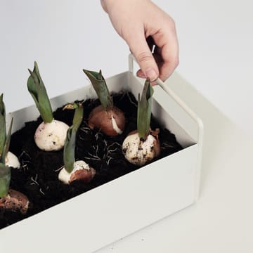 Ferm Living Plant Box small - lysegrå - Ferm Living