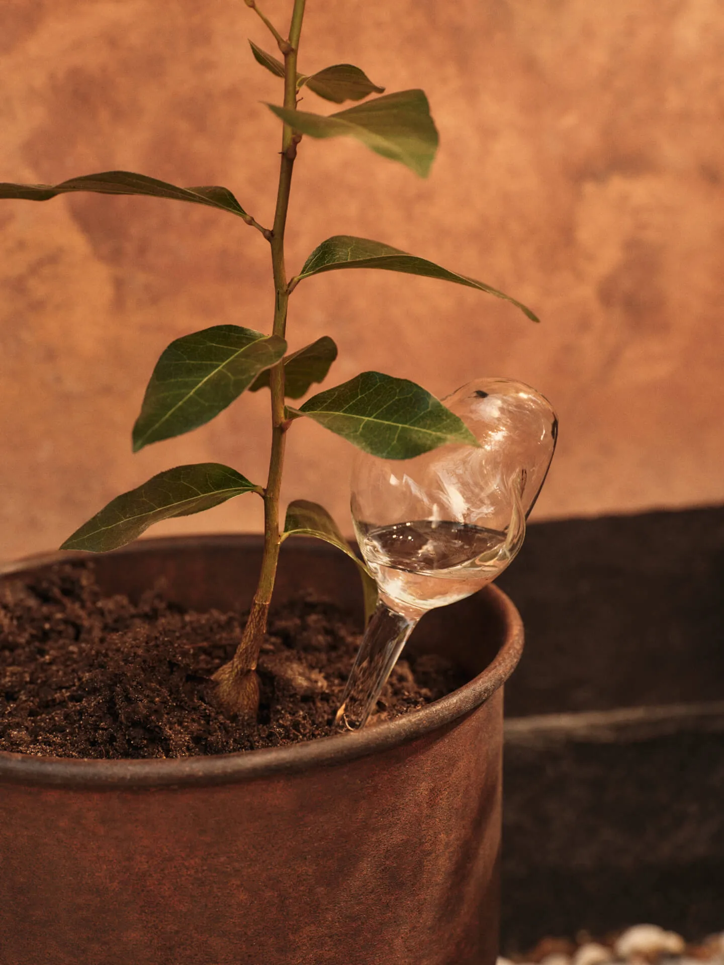 Mercury vanningskule 2 deler, Clear, 12x18,5 cm Ferm Living