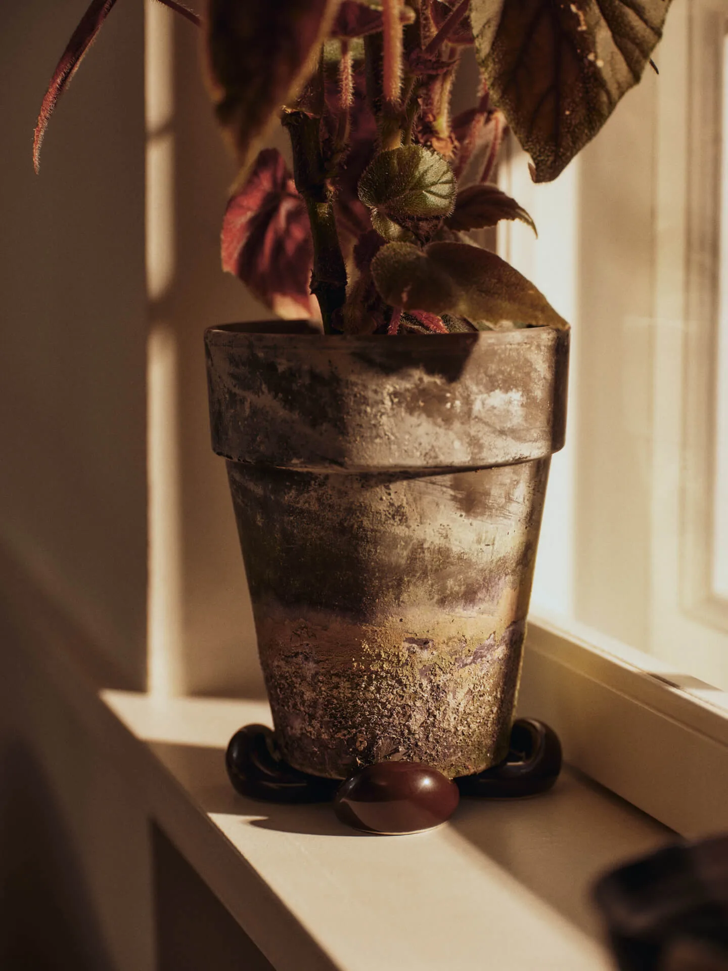 Nube føtter til potte 4-pk, Carob brown Ferm Living