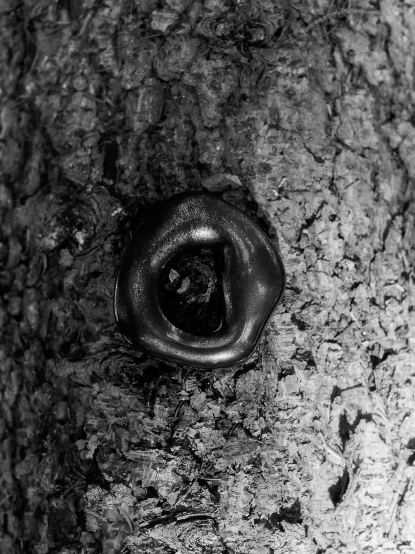 Orrith dekorasjonsheng 2 deler, Rustic Bronze Ferm Living