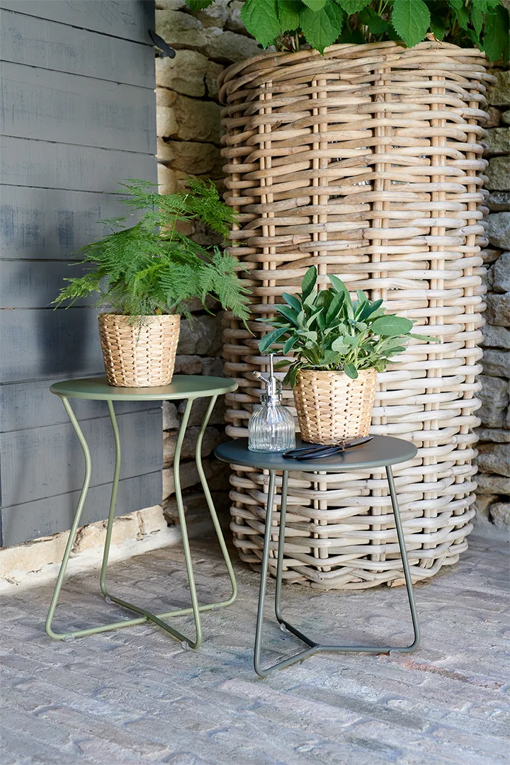 Cocotte krakk, Cactus (grønn) Fermob