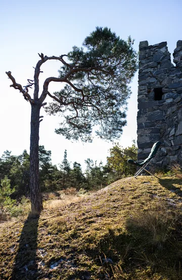 Fiesta Soft solstol - Stoff dark green-aluminiumsstativ - Fiam