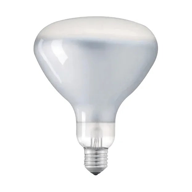 LED R125 lyskilde E27 - 2700 K 1180 lm 12 W - Flos