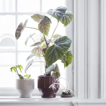 Edge blomsterpotte (innendørs) Ø18 cm - burned red (rød) - Fritz Hansen