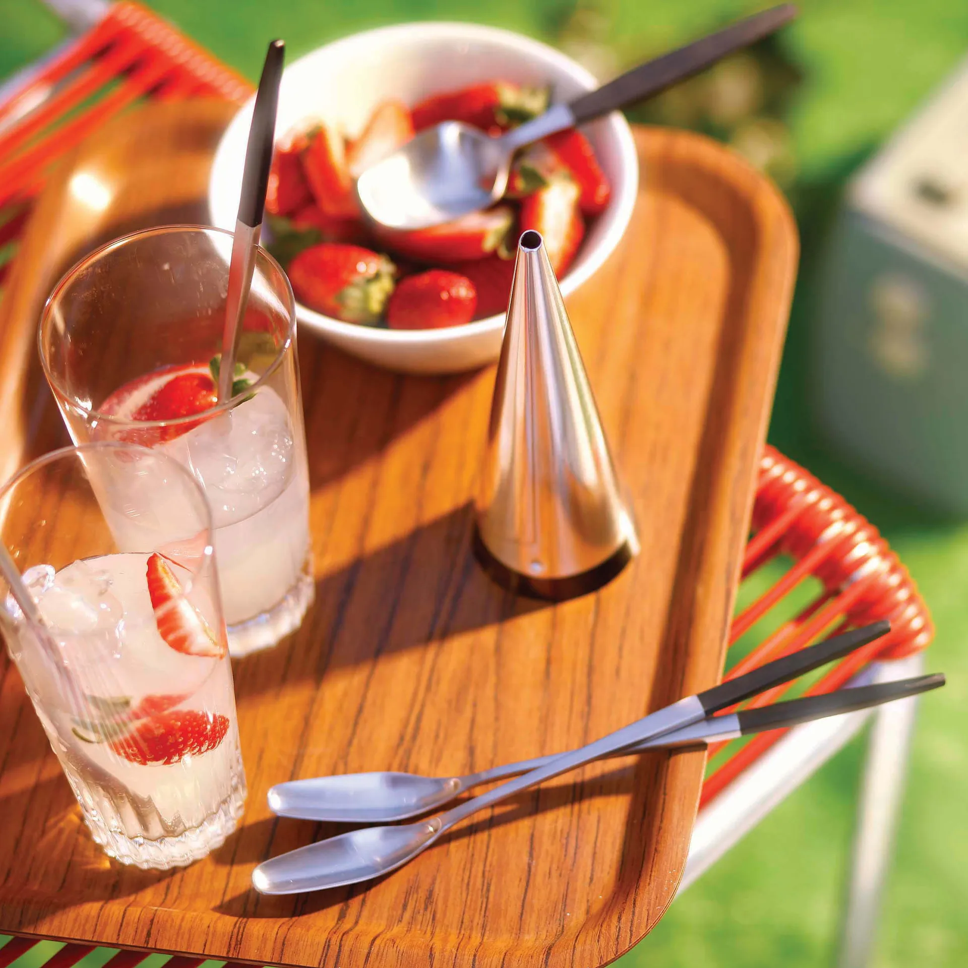 Focus de luxe dessertskjeer, 4-pakk Gense