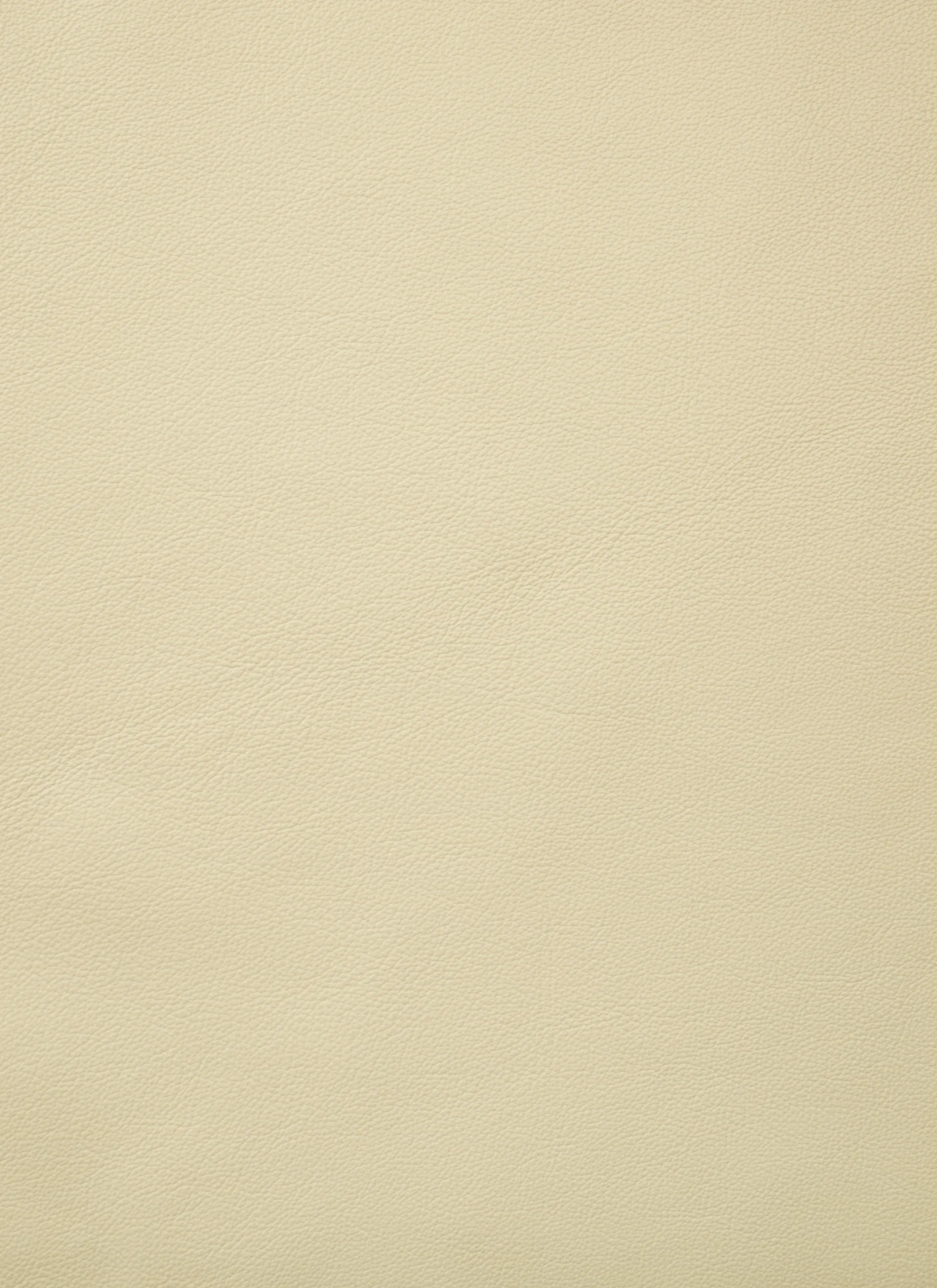 F300 loungestol, Pastel green-Smooth lær Cream GUBI