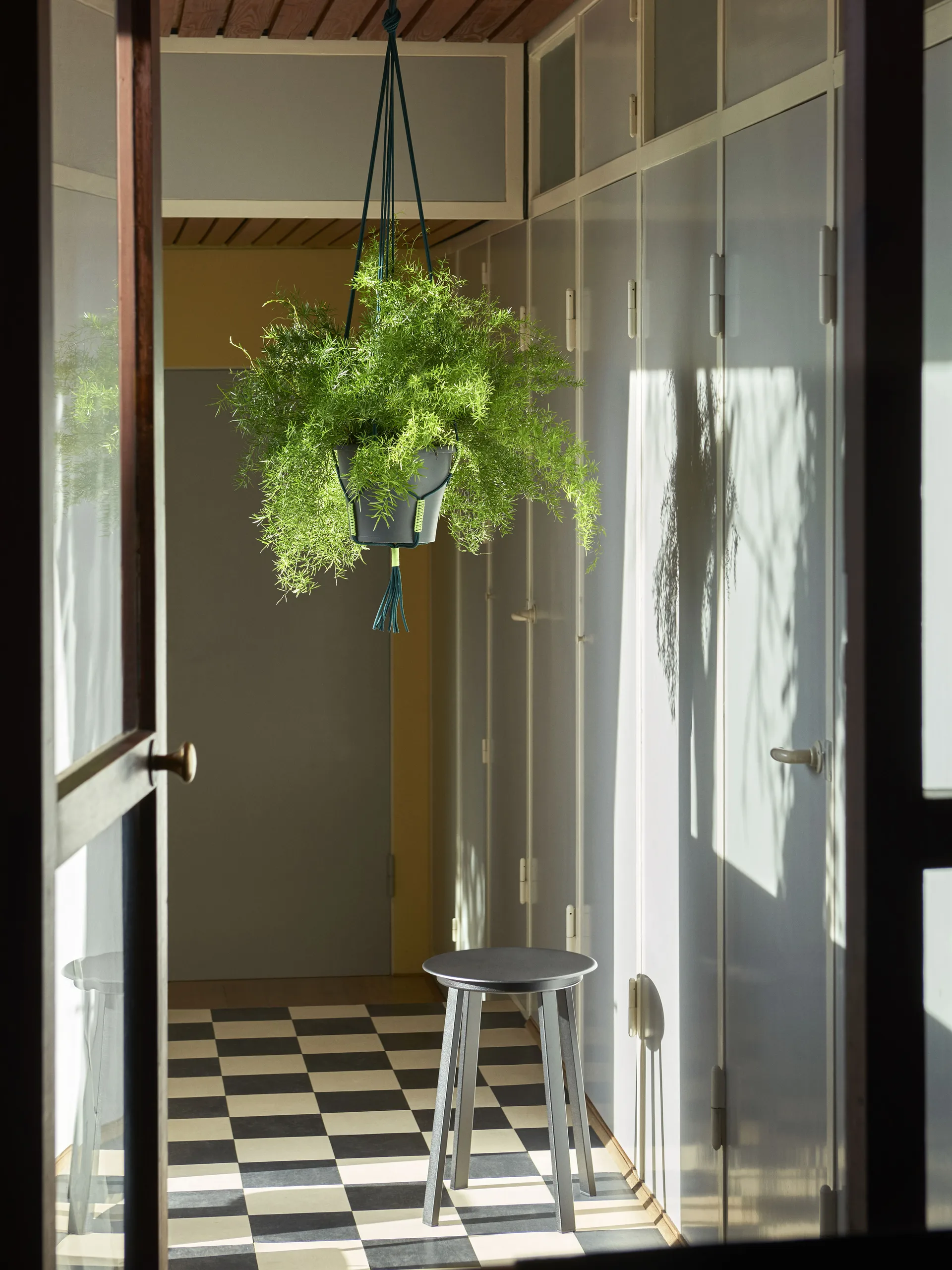 Phanta plant hanger ampel, Grønn HAY