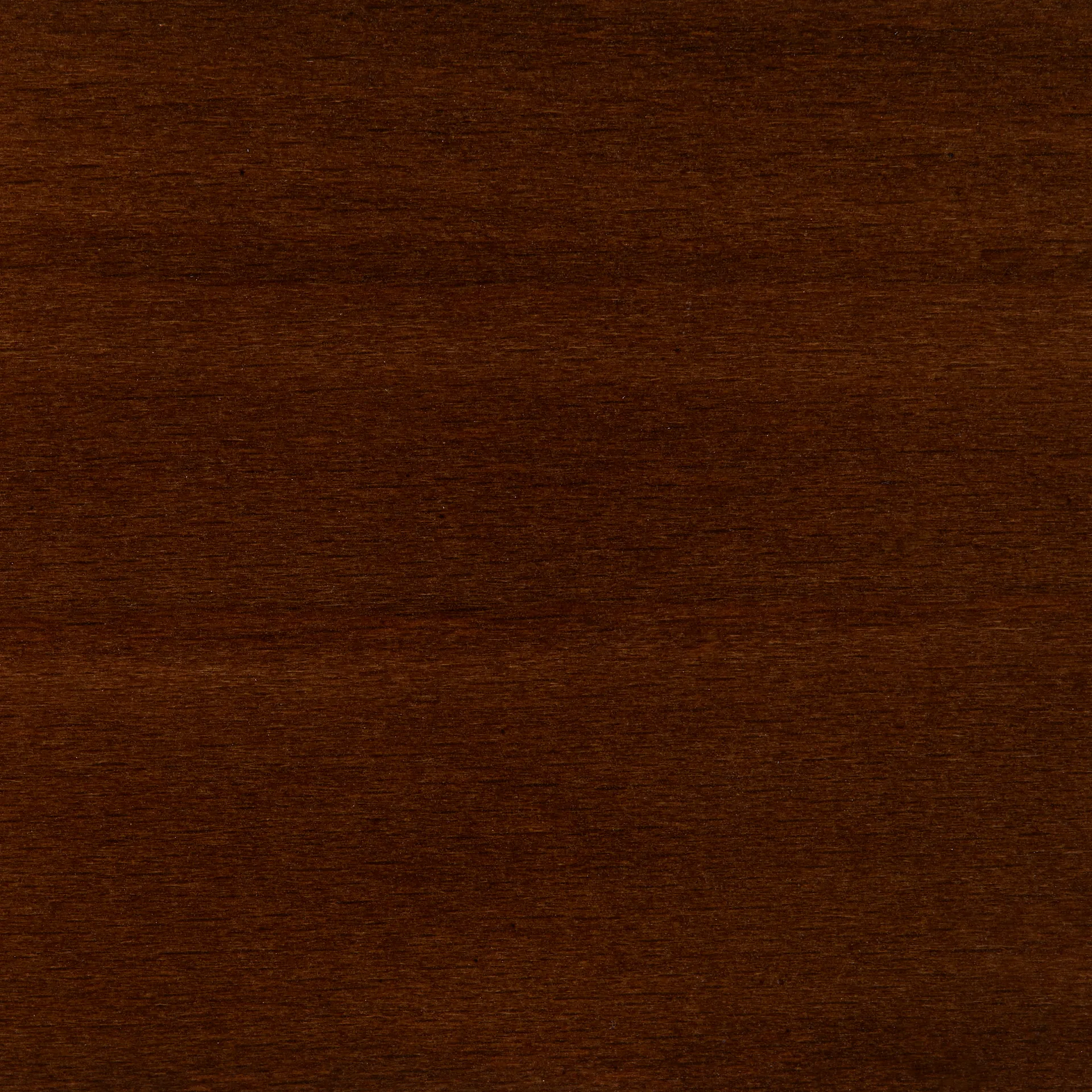 Rey Low barstol lakkert 65 cm, Umber brown HAY