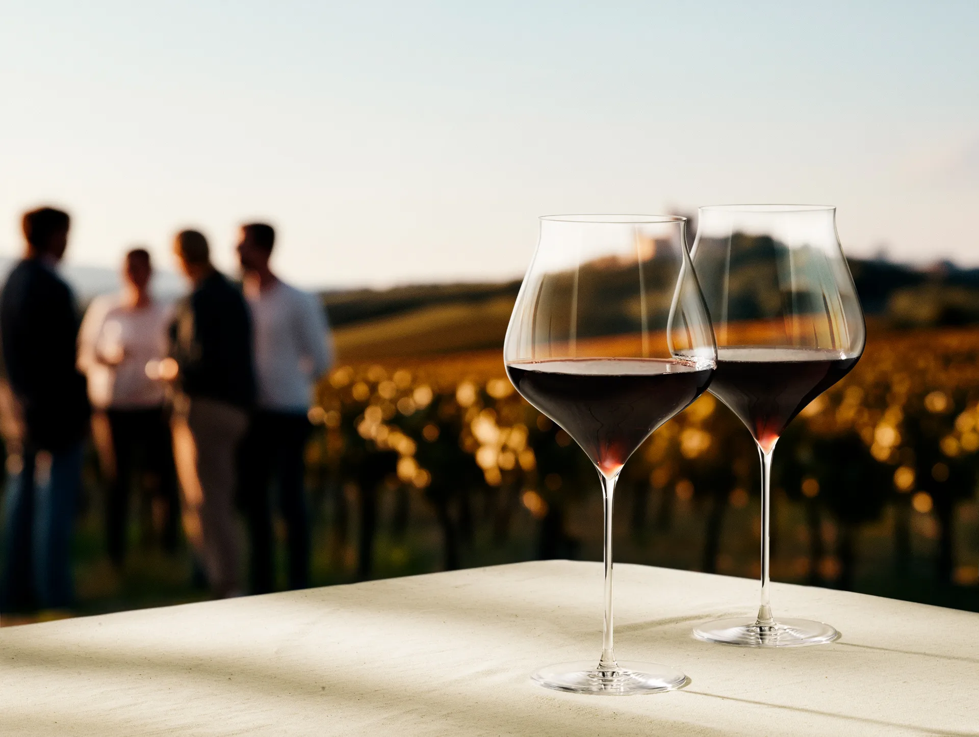 Notes Bourgogneglass 2-pk, 94 cl Holmegaard