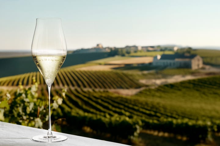 Notes champagneglass 2-pk, 38 cl Holmegaard