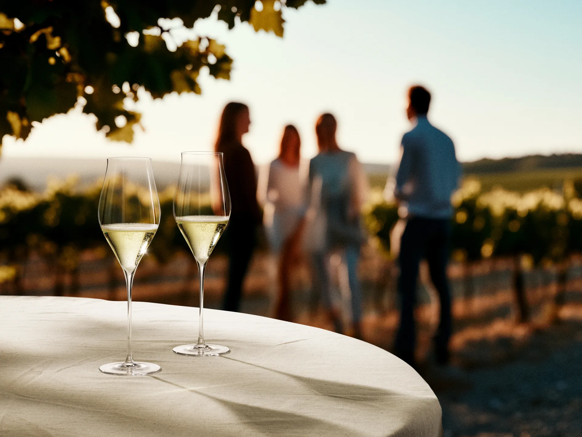 Notes champagneglass 2-pk, 38 cl Holmegaard