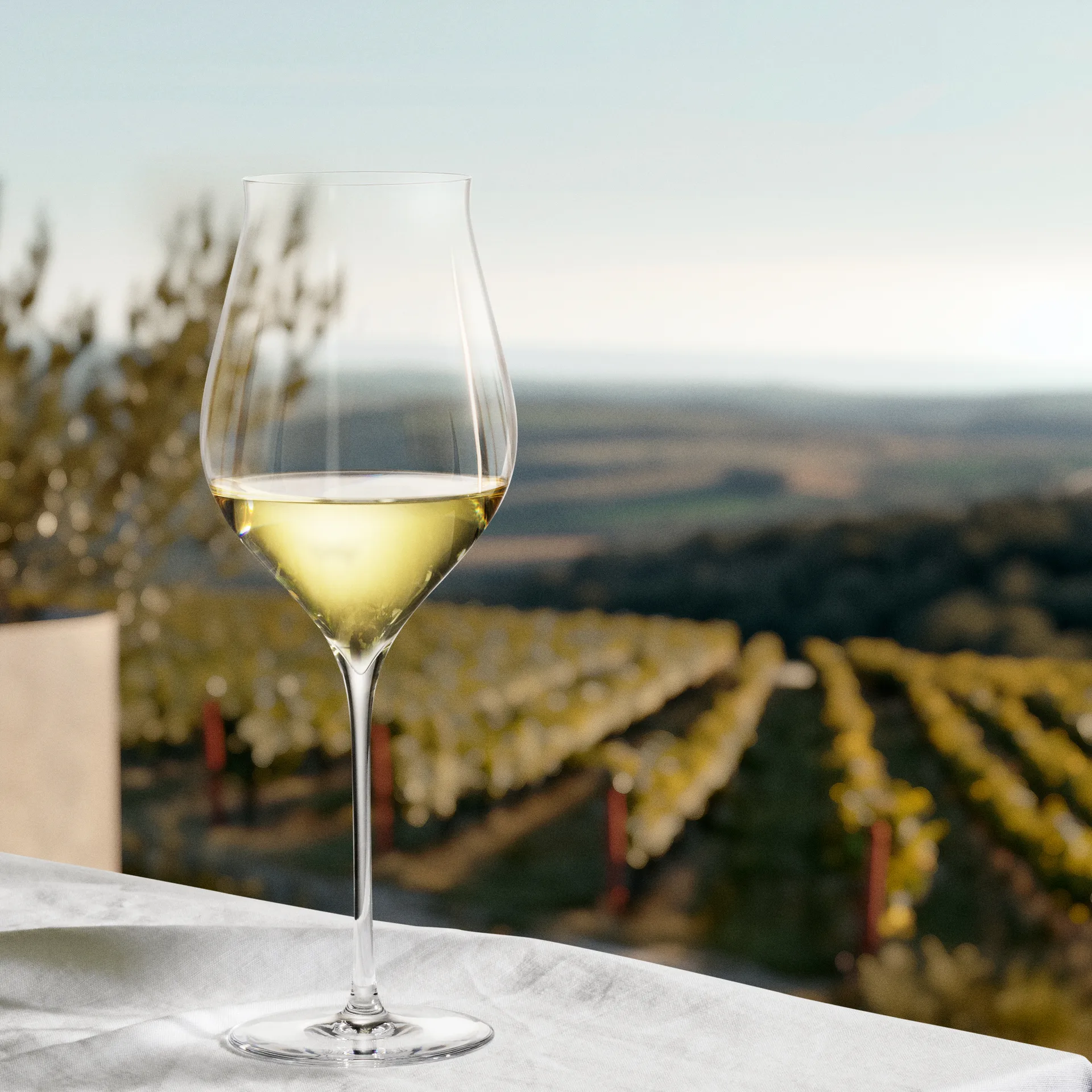 Notes hvitvinsglass 2-pk, 63 cl Holmegaard