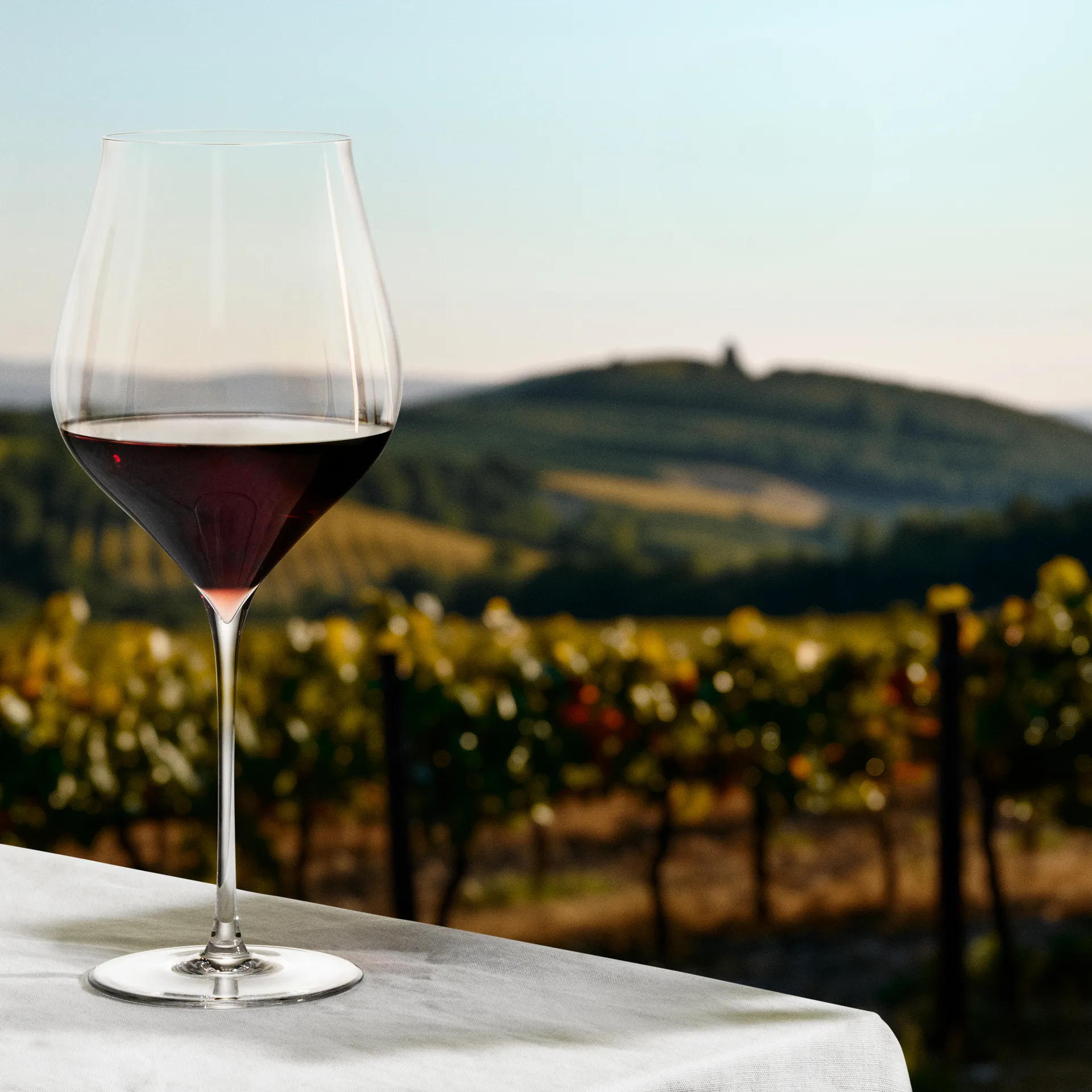 Notes rødvinsglass 2-pk, 81 cl Holmegaard