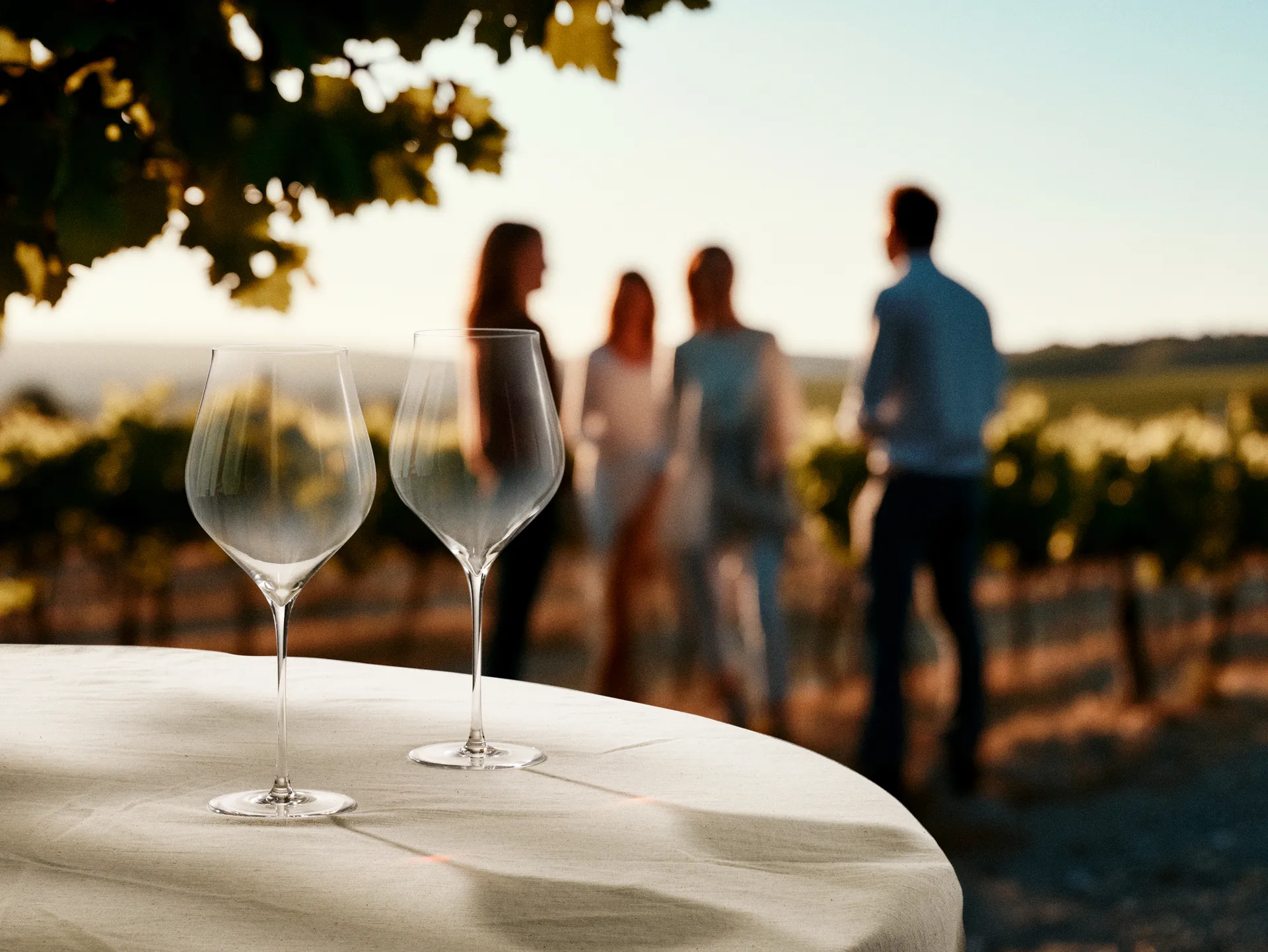 Notes rødvinsglass 2-pk, 81 cl Holmegaard