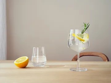 Essence glassett 24 deler - Iittala