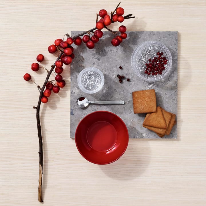 Scandia matskje, Rustfritt stål Iittala