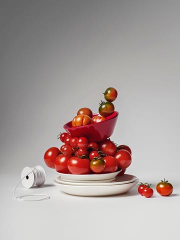 Teema starter-sett - 16 deler - Iittala