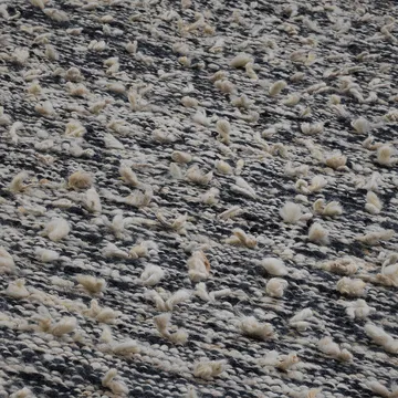 Woolly teppe - Black/white, 170x240 cm - Kateha
