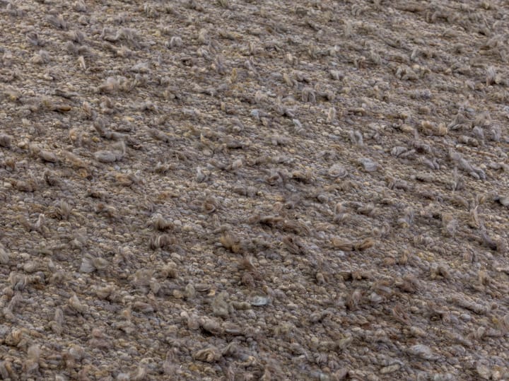 Woolly teppe, Light brown 200 x 300 cm Kateha