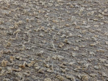 Woolly teppe - Light grey 170 x 240 cm - Kateha