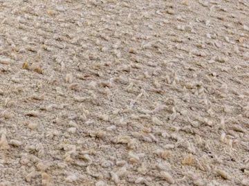 Woolly teppe - White, 170x240 cm - Kateha