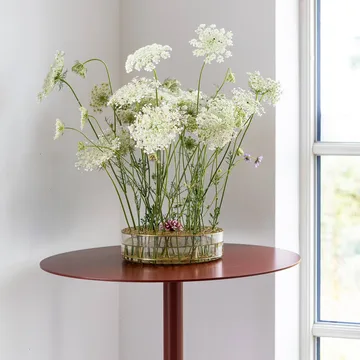 Äng vase, optimum - Messing - KLONG