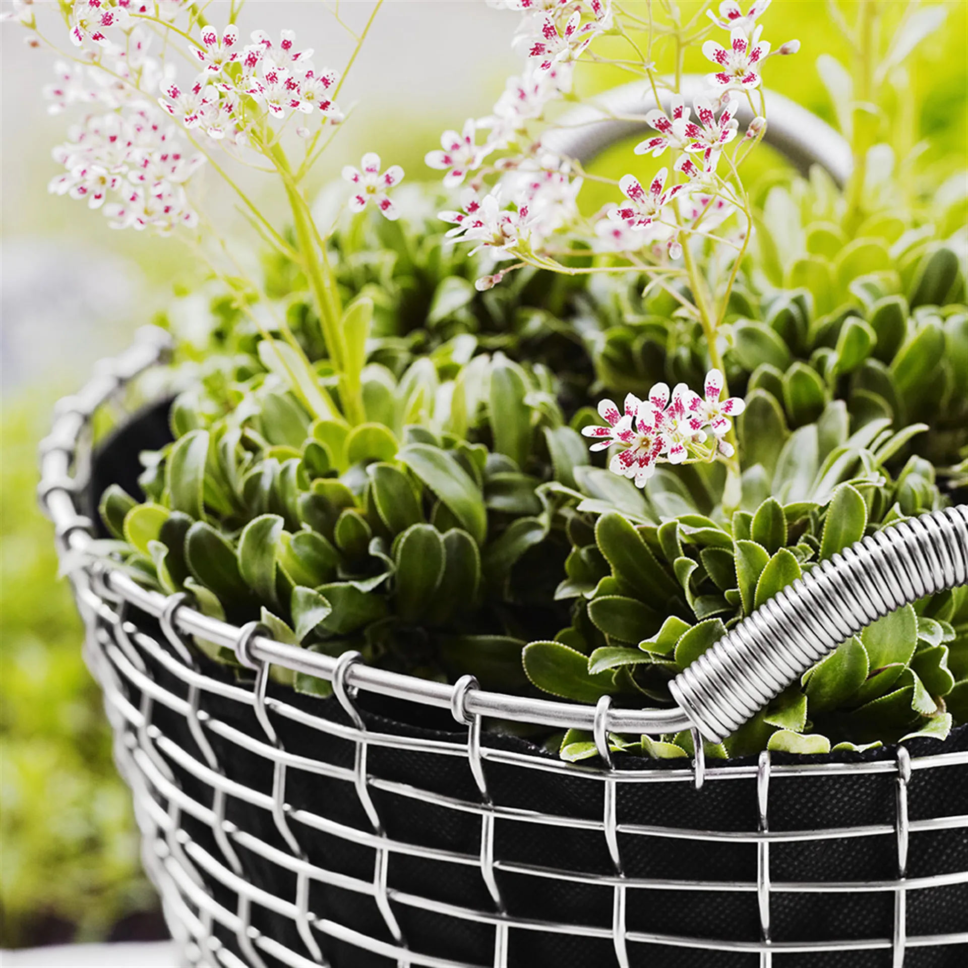 Korbo classic 35, rustfritt stål KORBO