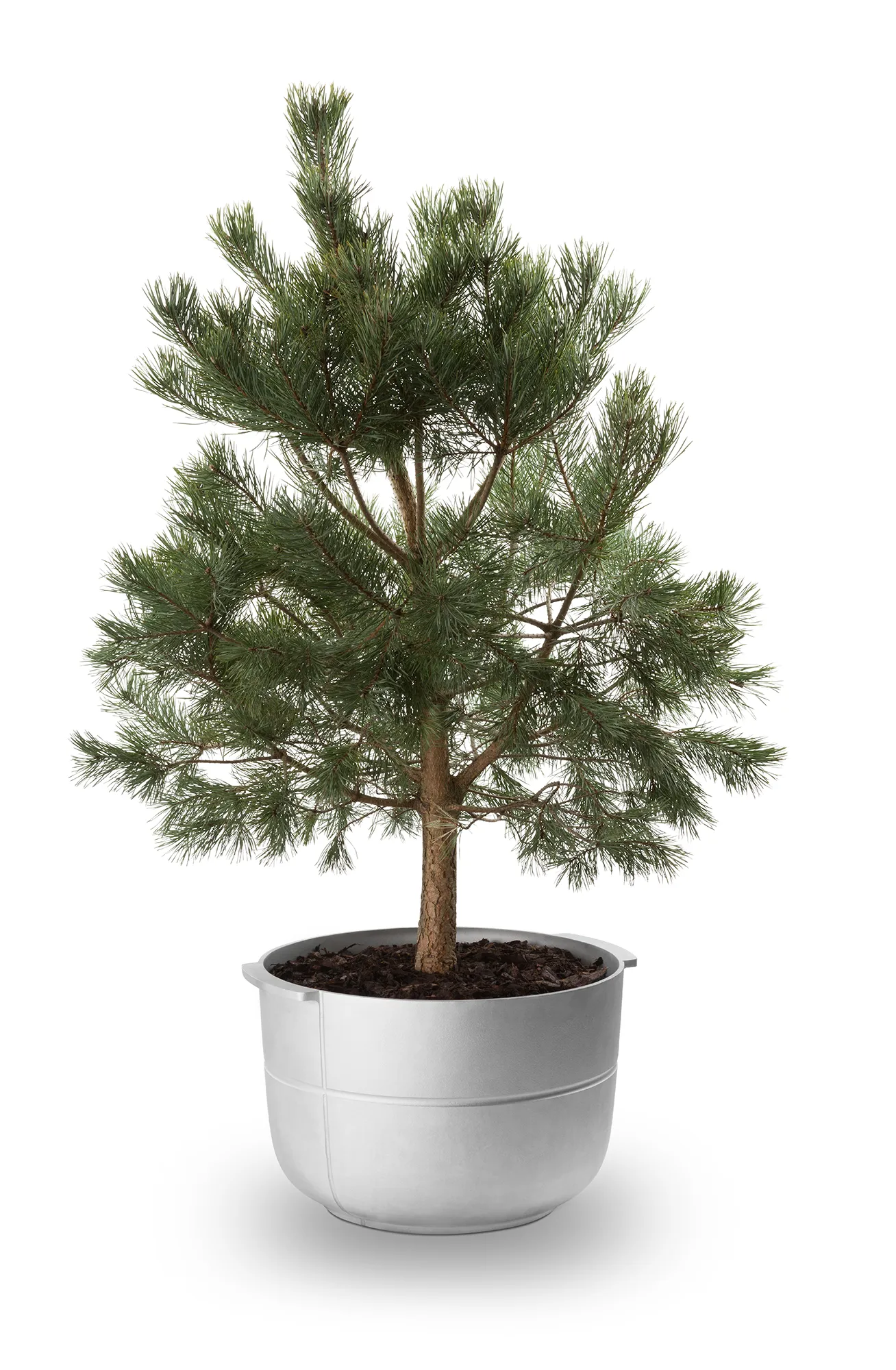 Linea krukke nr 2 medium, Aluminium KORBO