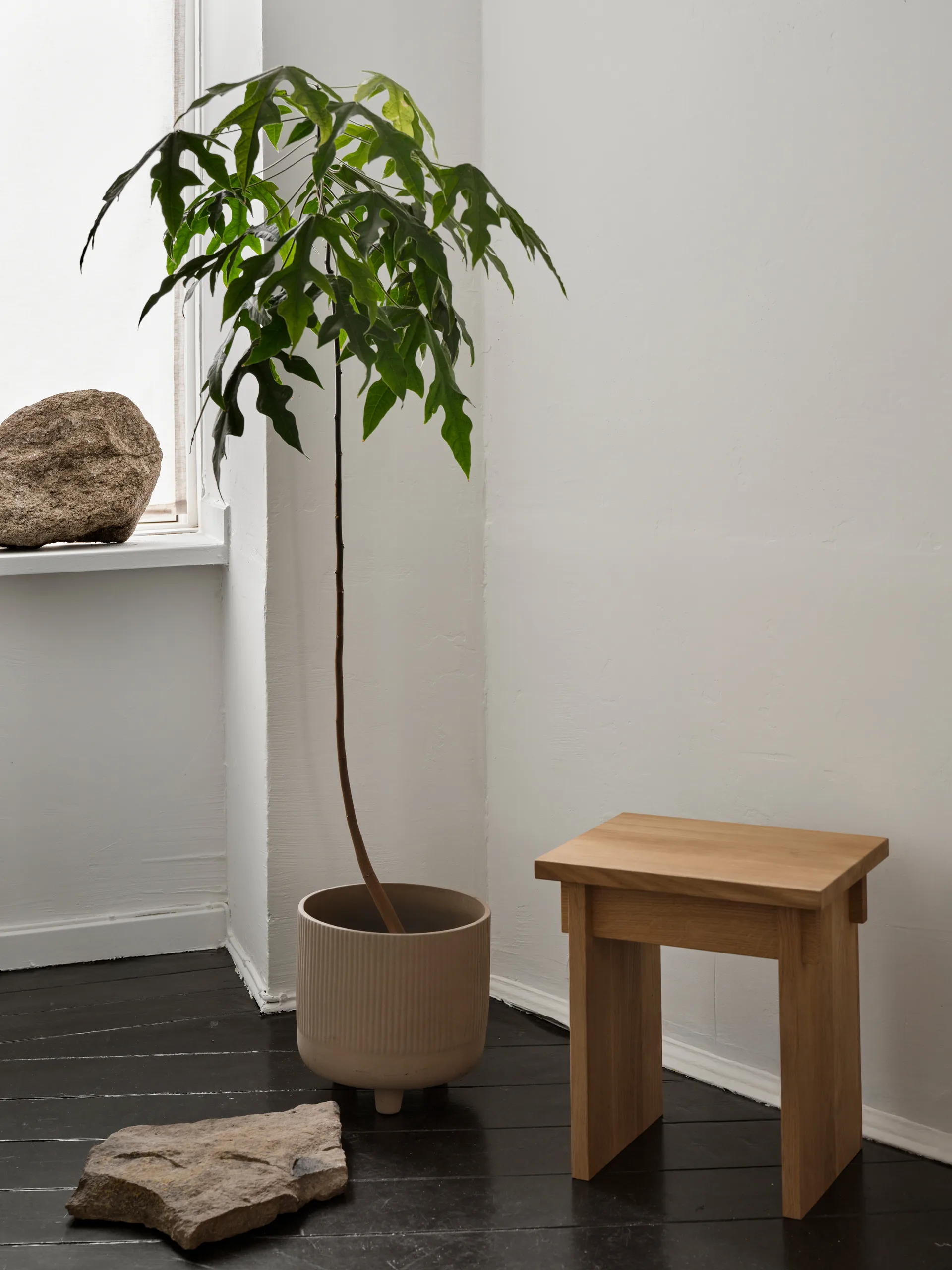 Artisan krakk 30x40 cm, Varm lakkert eik Kristina Dam Studio