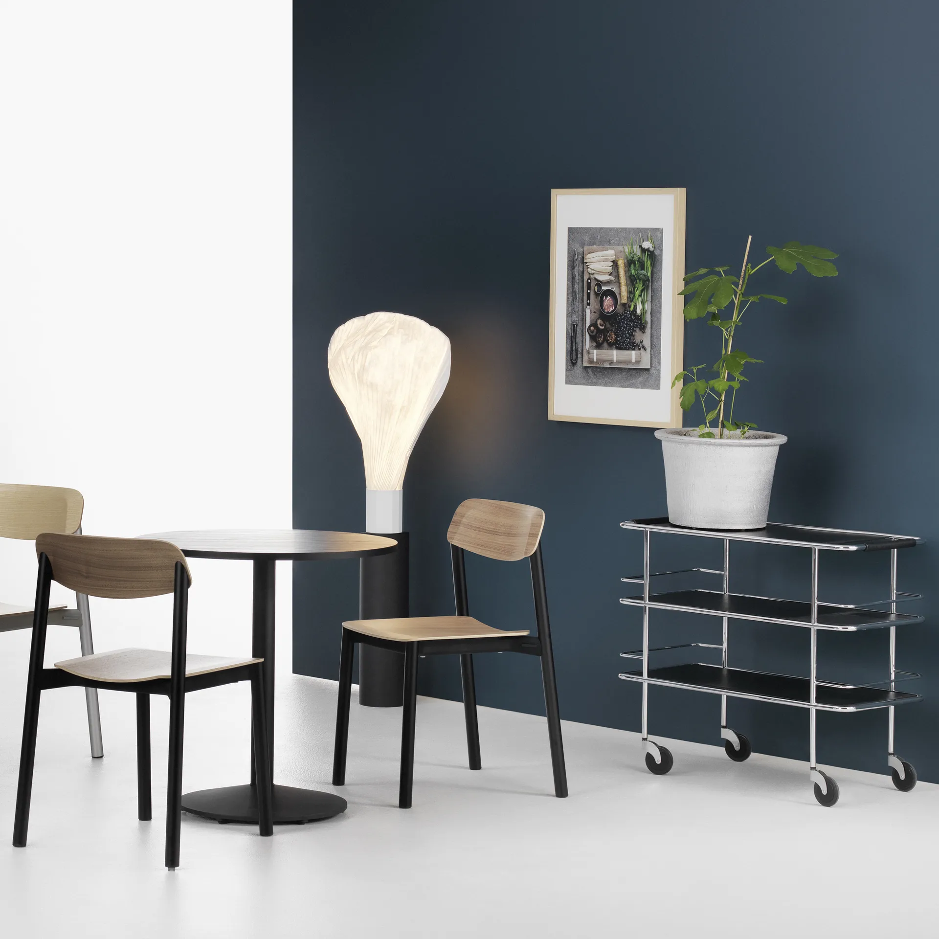 Penne stol, eik, svarte aluminiumben Lammhults