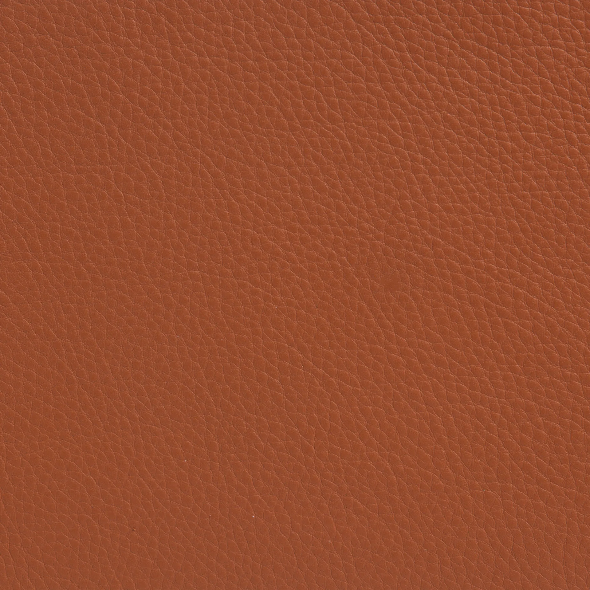 Sunny lenestol med armlener, Lær Cognac-kromstativ m. hjul Lammhults