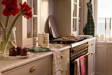 Lexington økologisk bomull kjøkkenhåndkle 50x70 cm - Green-white - Lexington