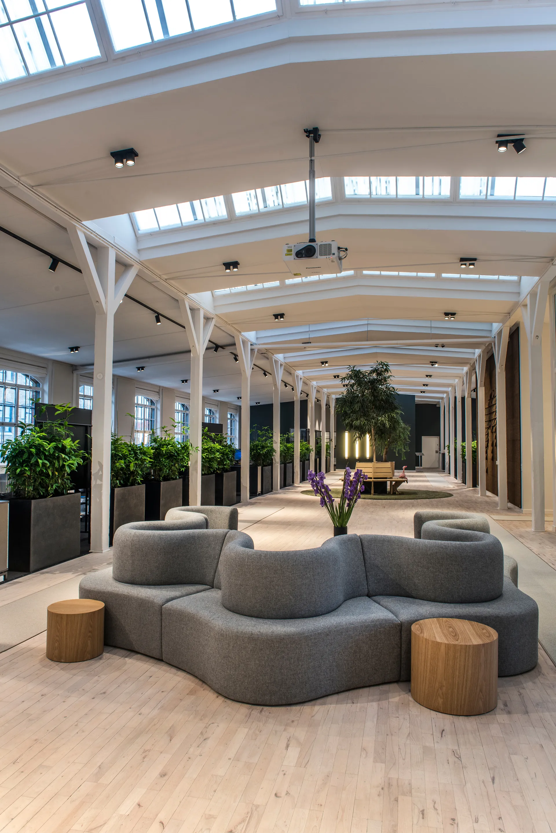 Focus 2 vegg- og taklampe switch tune, Black Light-Point