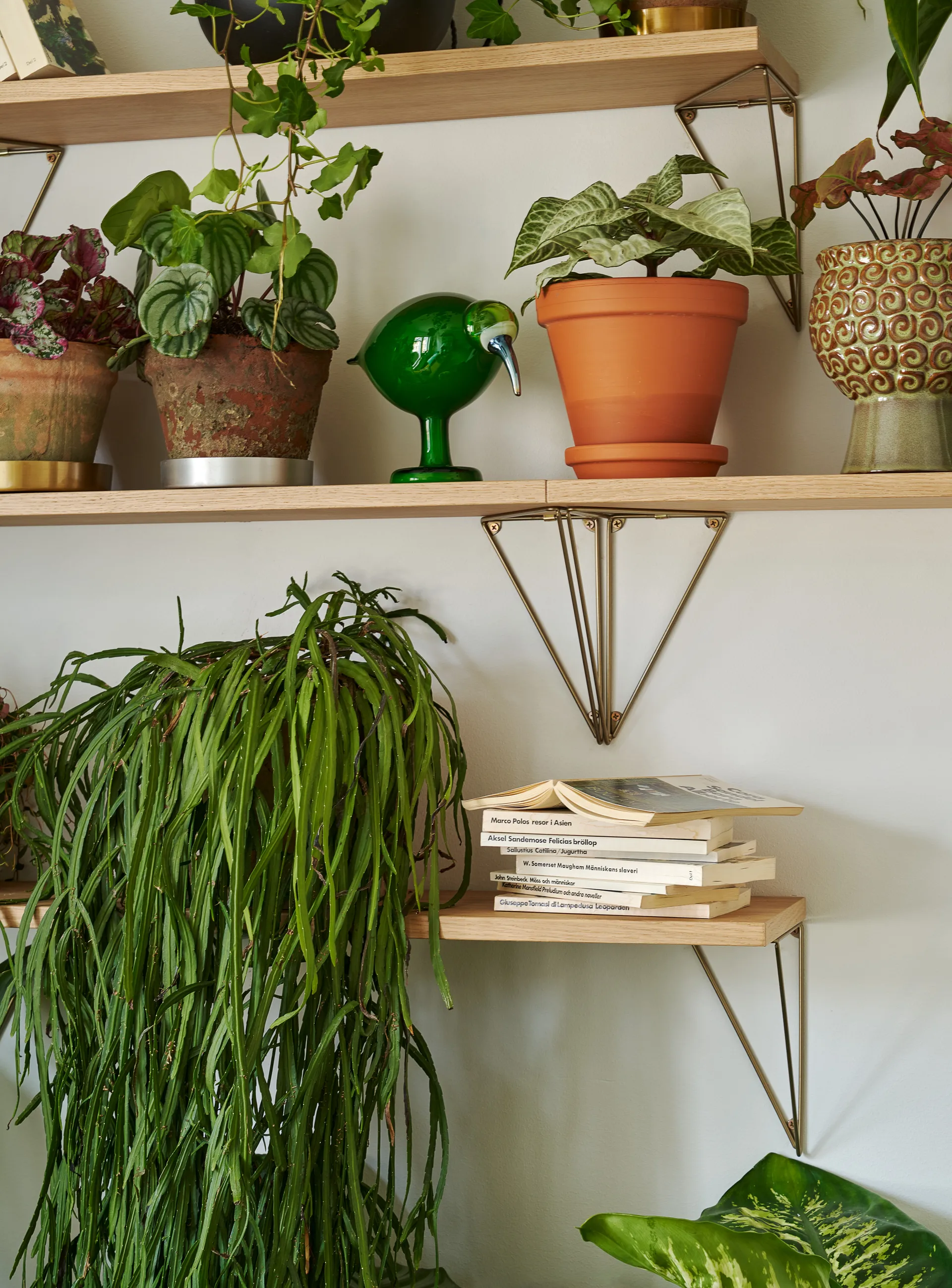 Pythagoras hyllebord, eik Maze