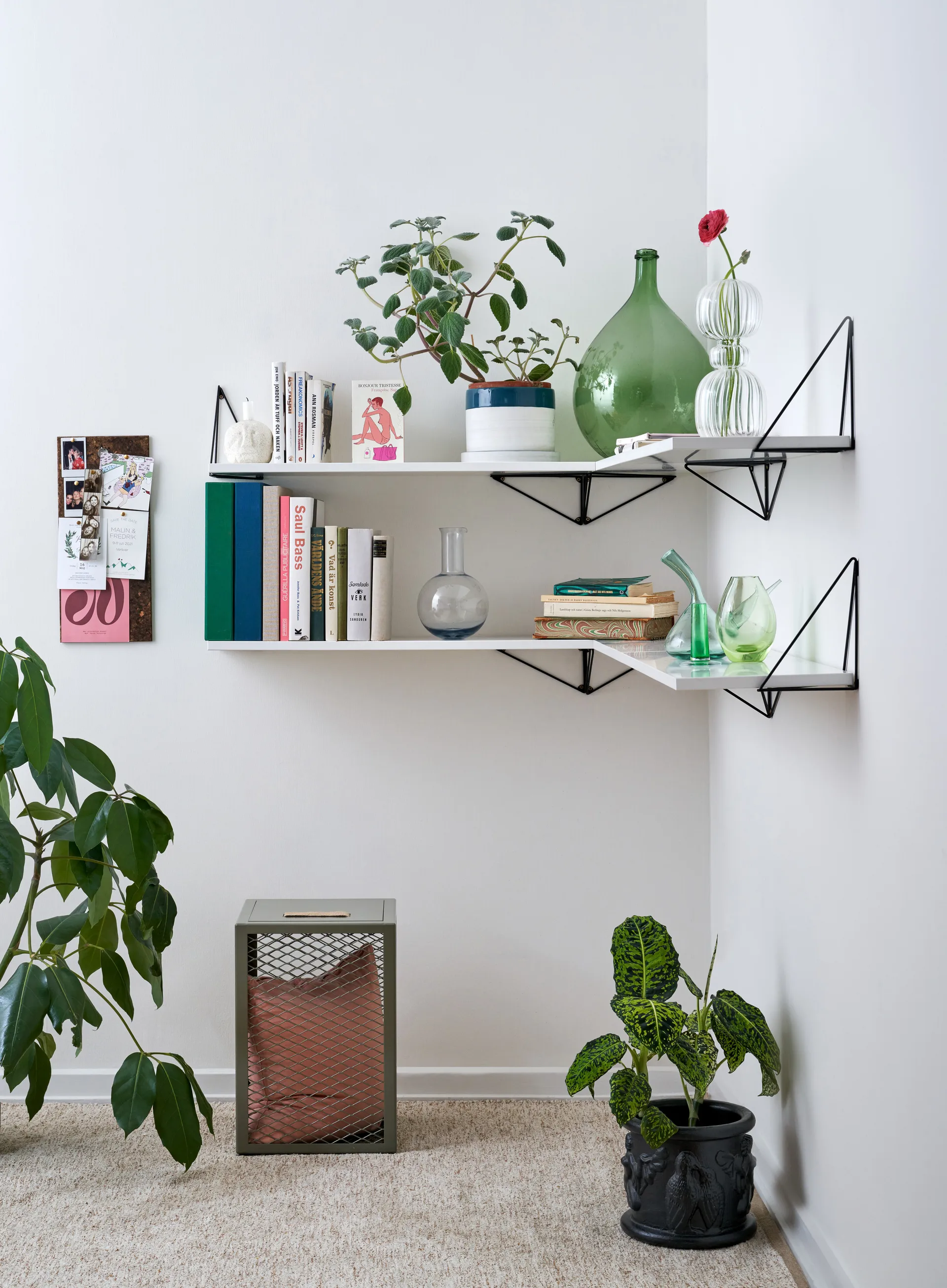 Pythagoras hylleplan, Large, hvit Maze