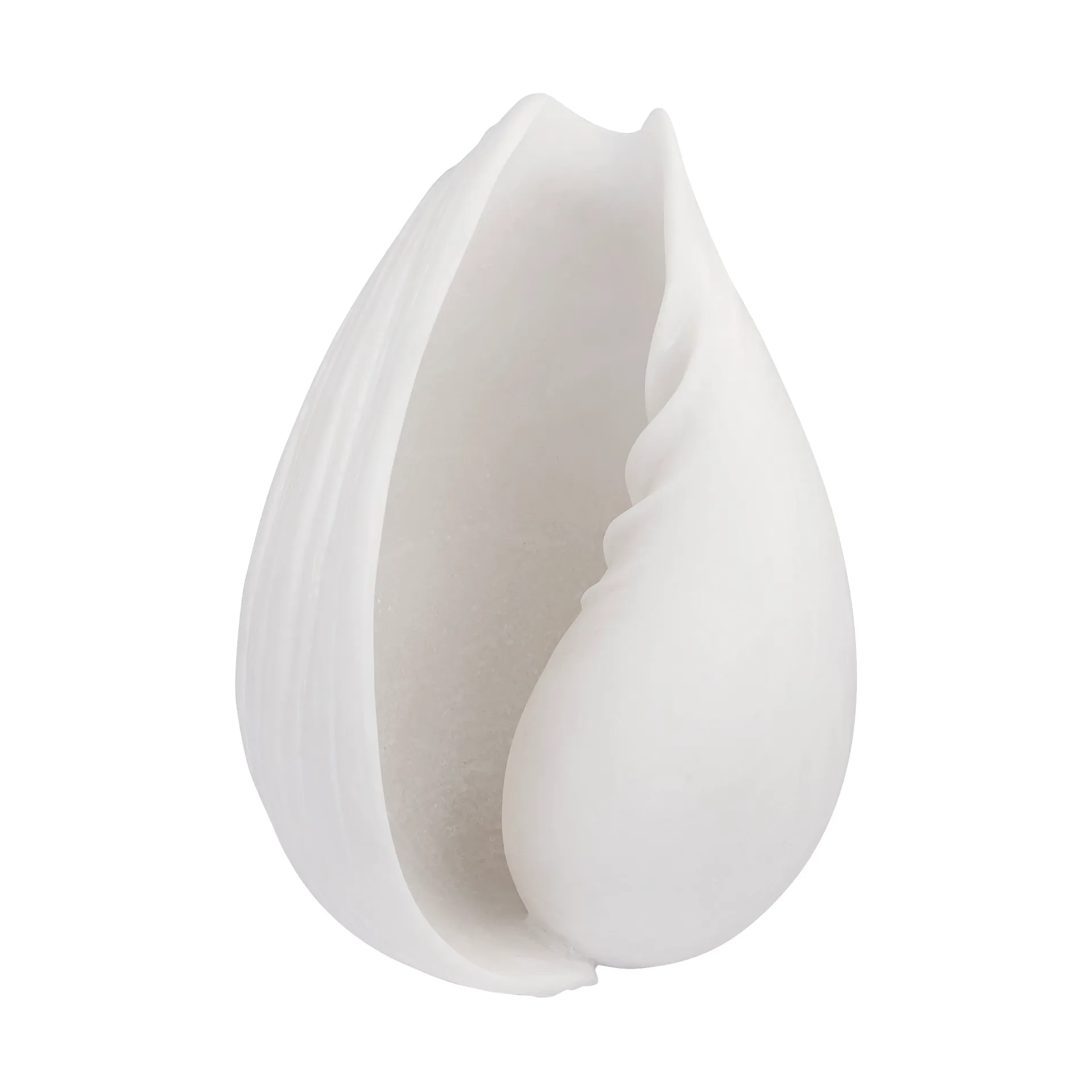 Conch dekorasjon skjell, Small Mette Ditmer