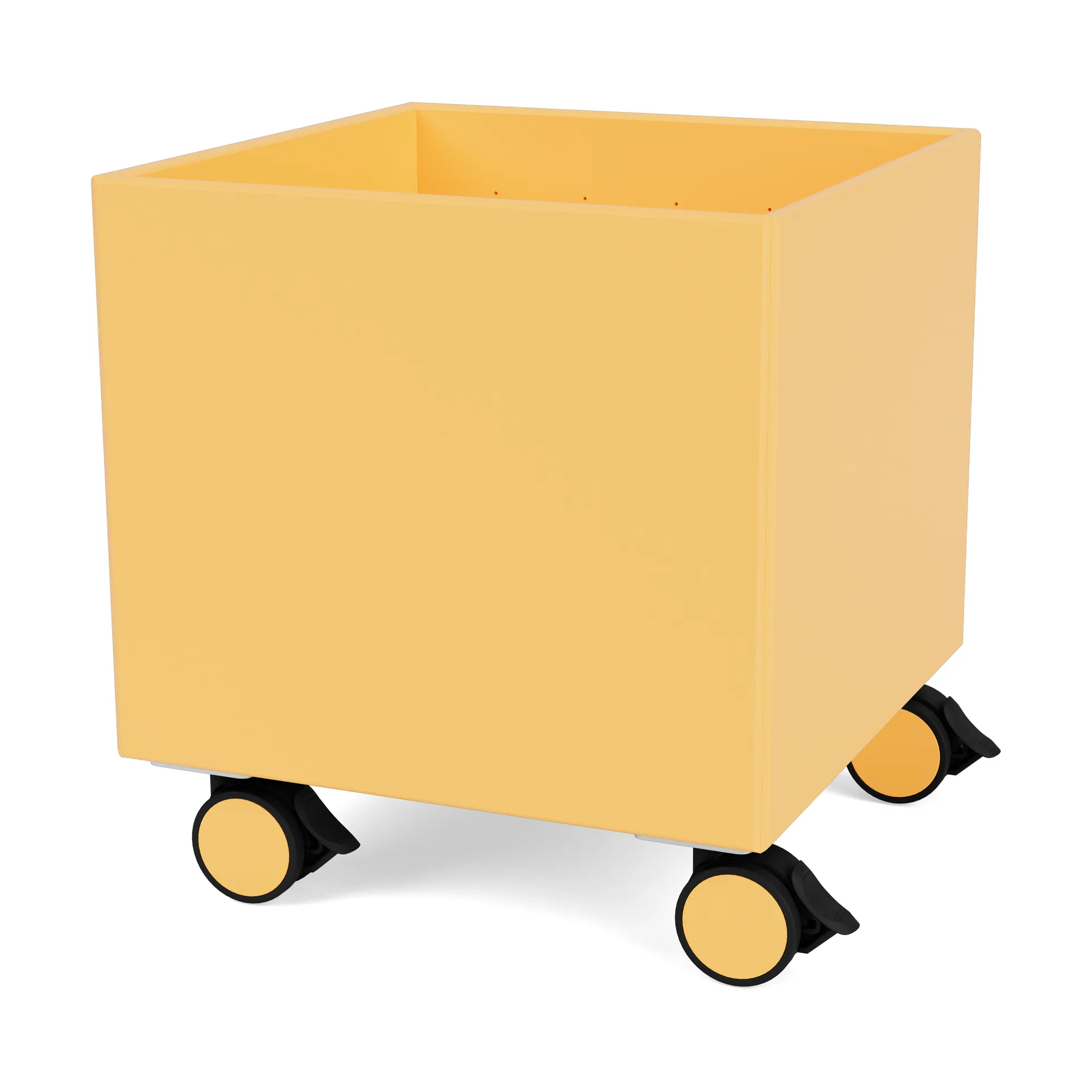 Colour Box I - S6161, Acacia Montana