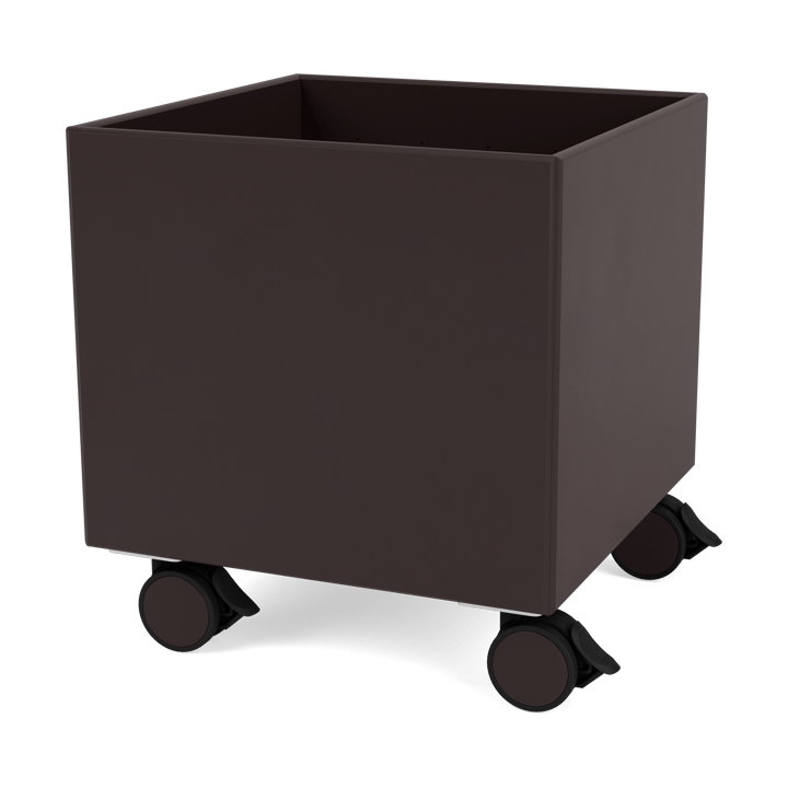 Colour Box I - S6161 - Balsamic - Montana
