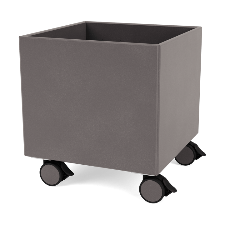 Colour Box I - S6161 - Coffee - Montana