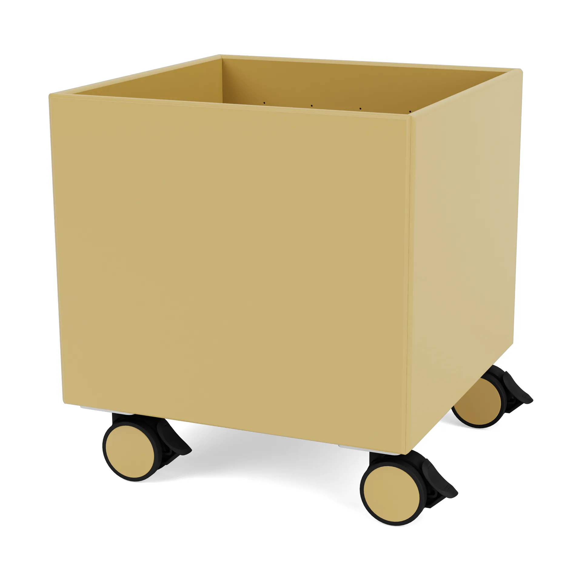 Colour Box I - S6161, Cumin Montana