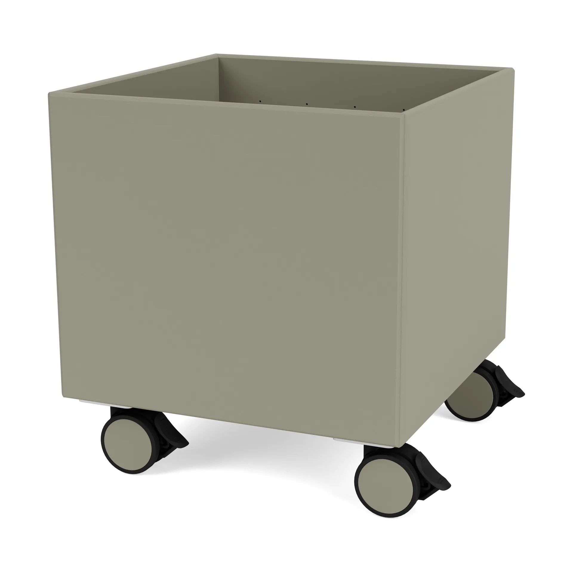 Colour Box I - S6161, Fennel Montana