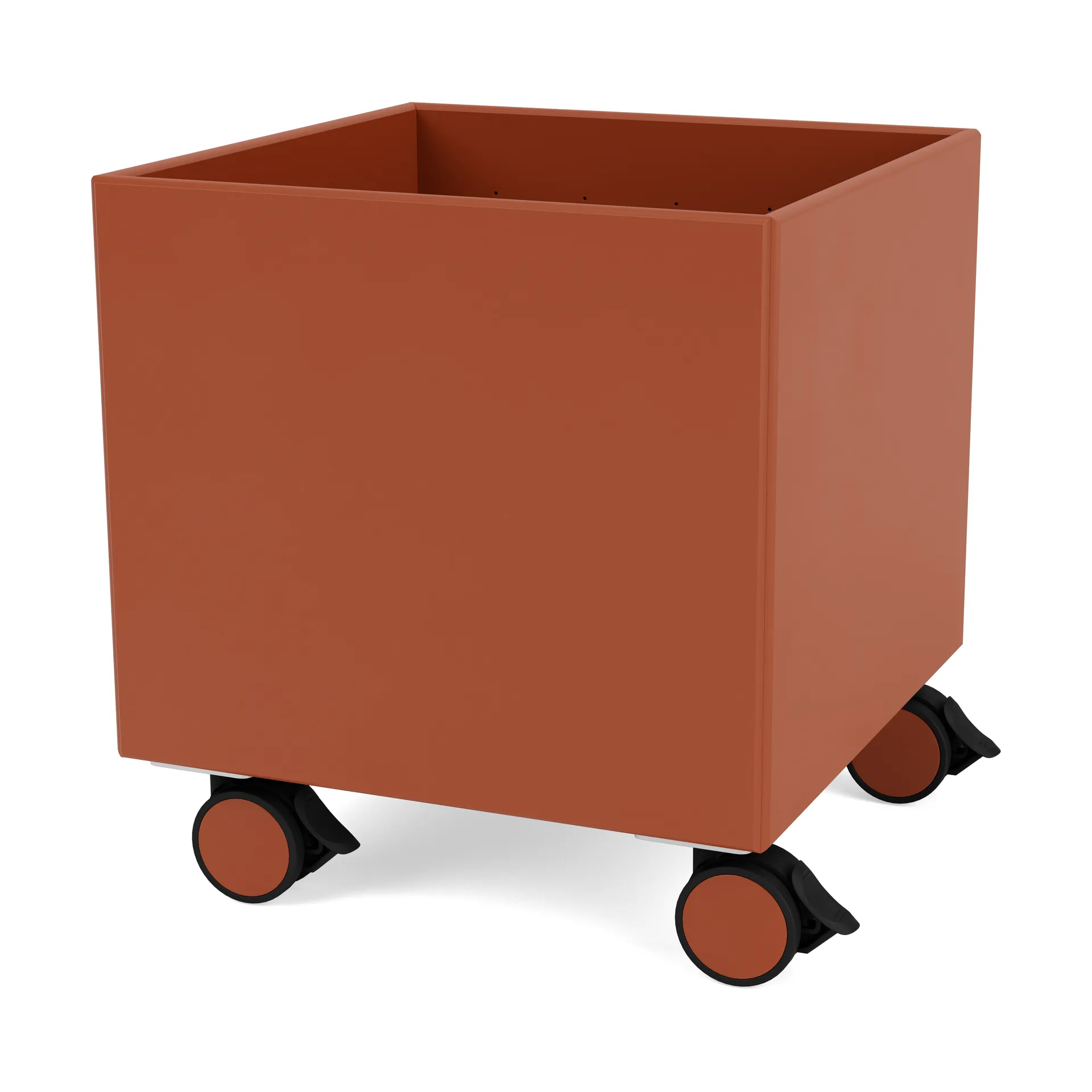 Colour Box I - S6161, Hokkaido Montana