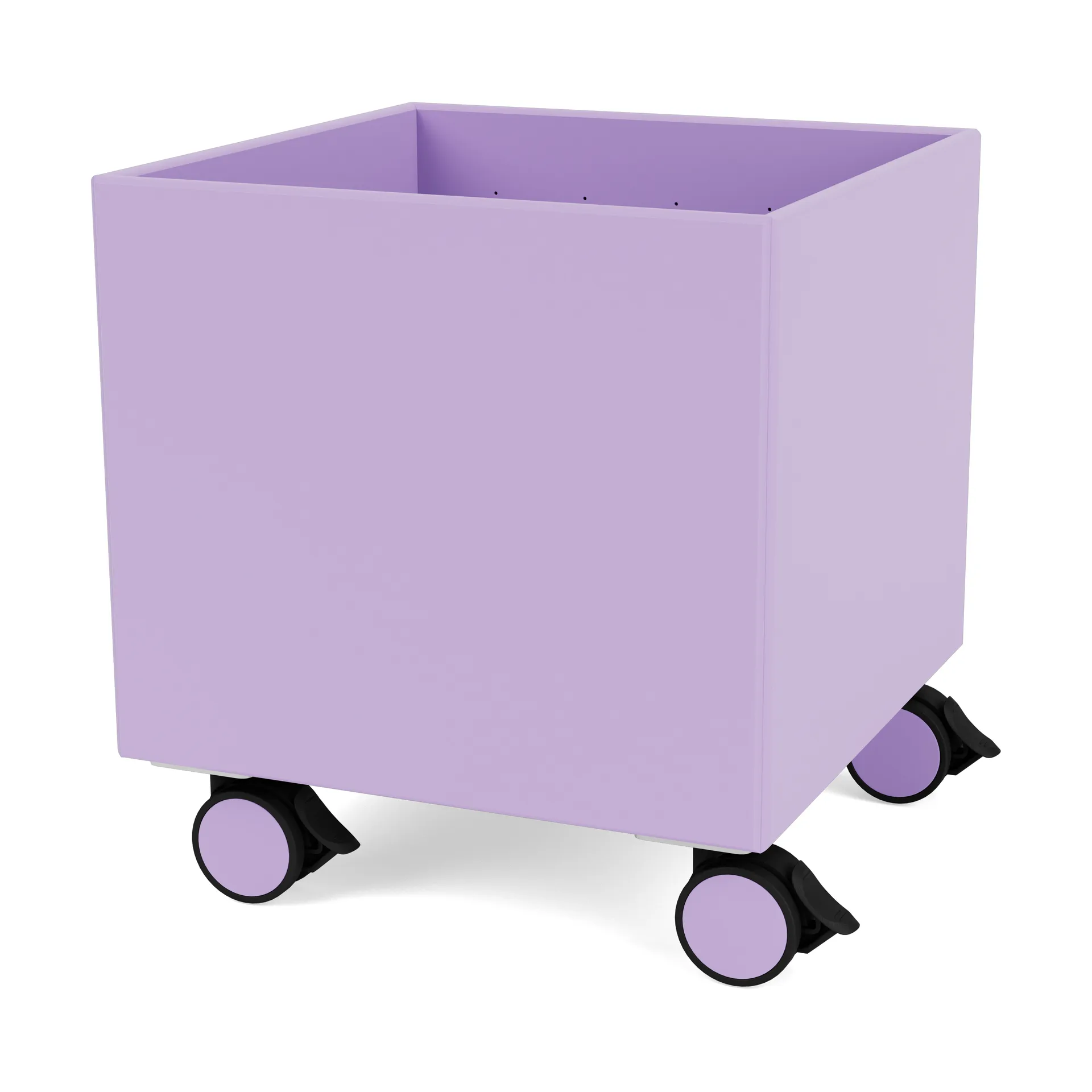 Colour Box I - S6161, Iris Montana