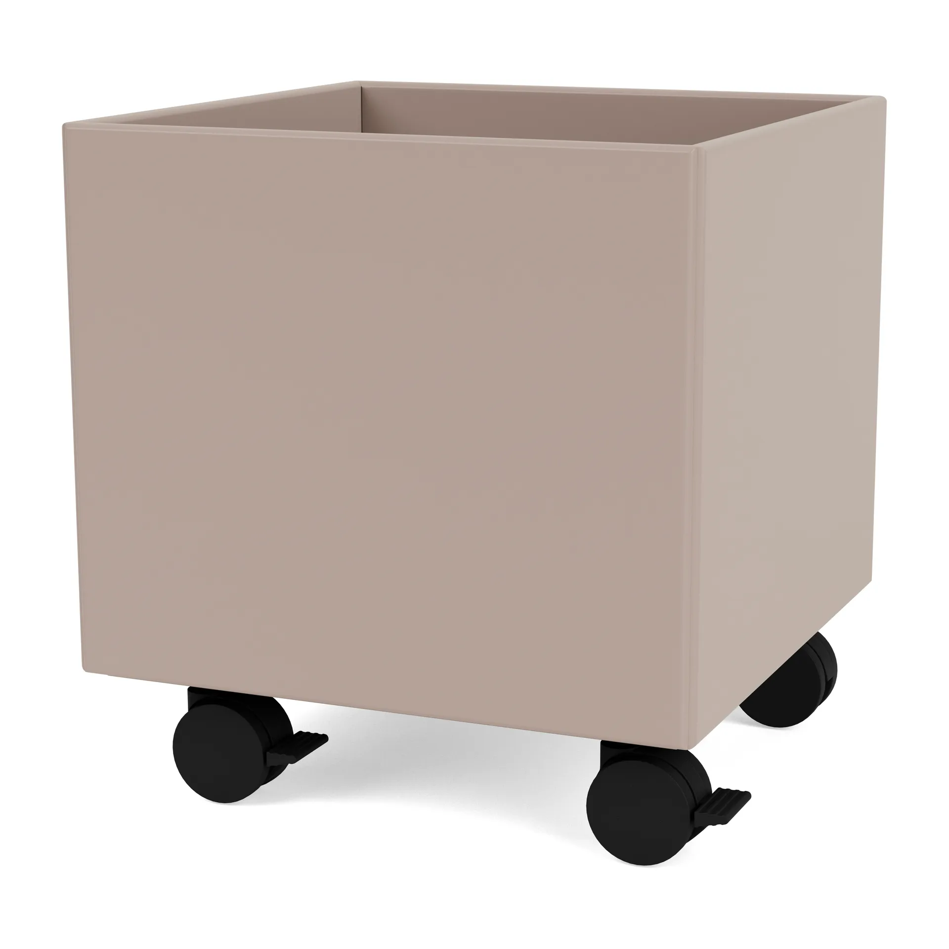 Colour Box I - S6161, Mushroom Montana