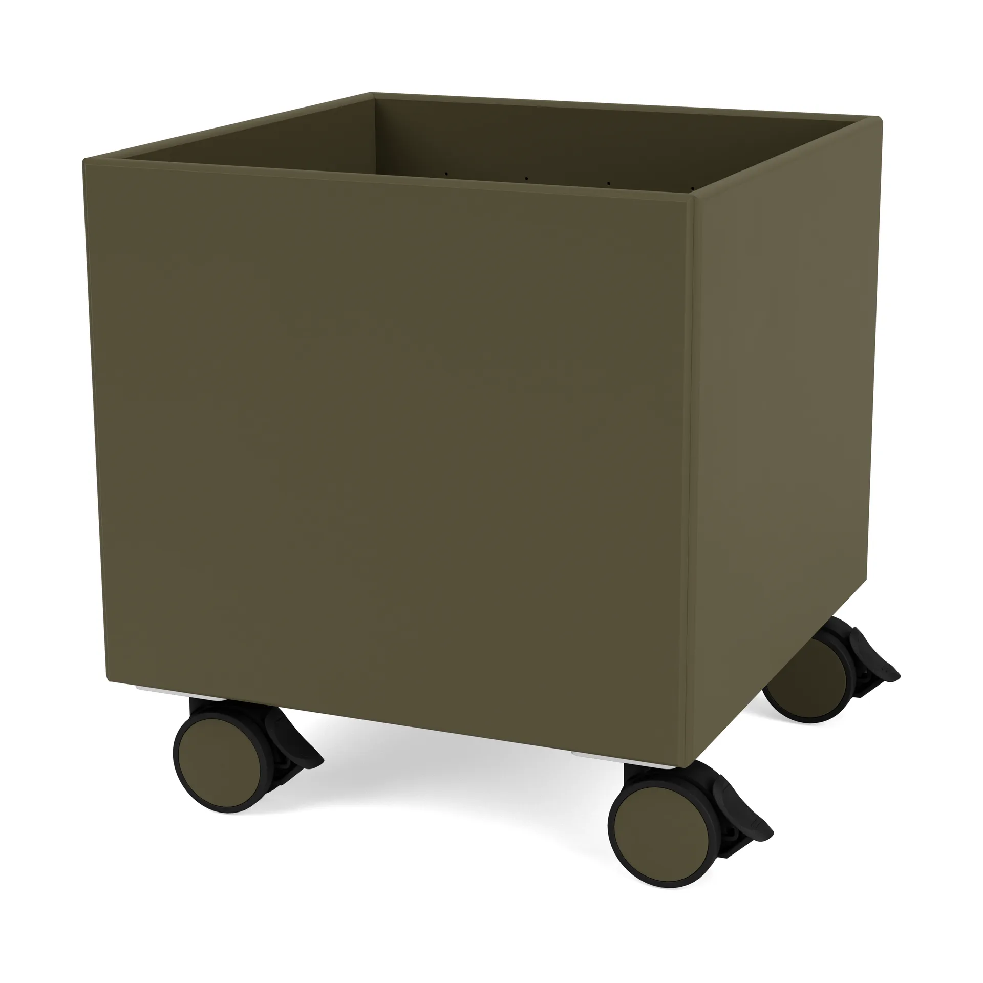 Colour Box I - S6161, Oregano Montana