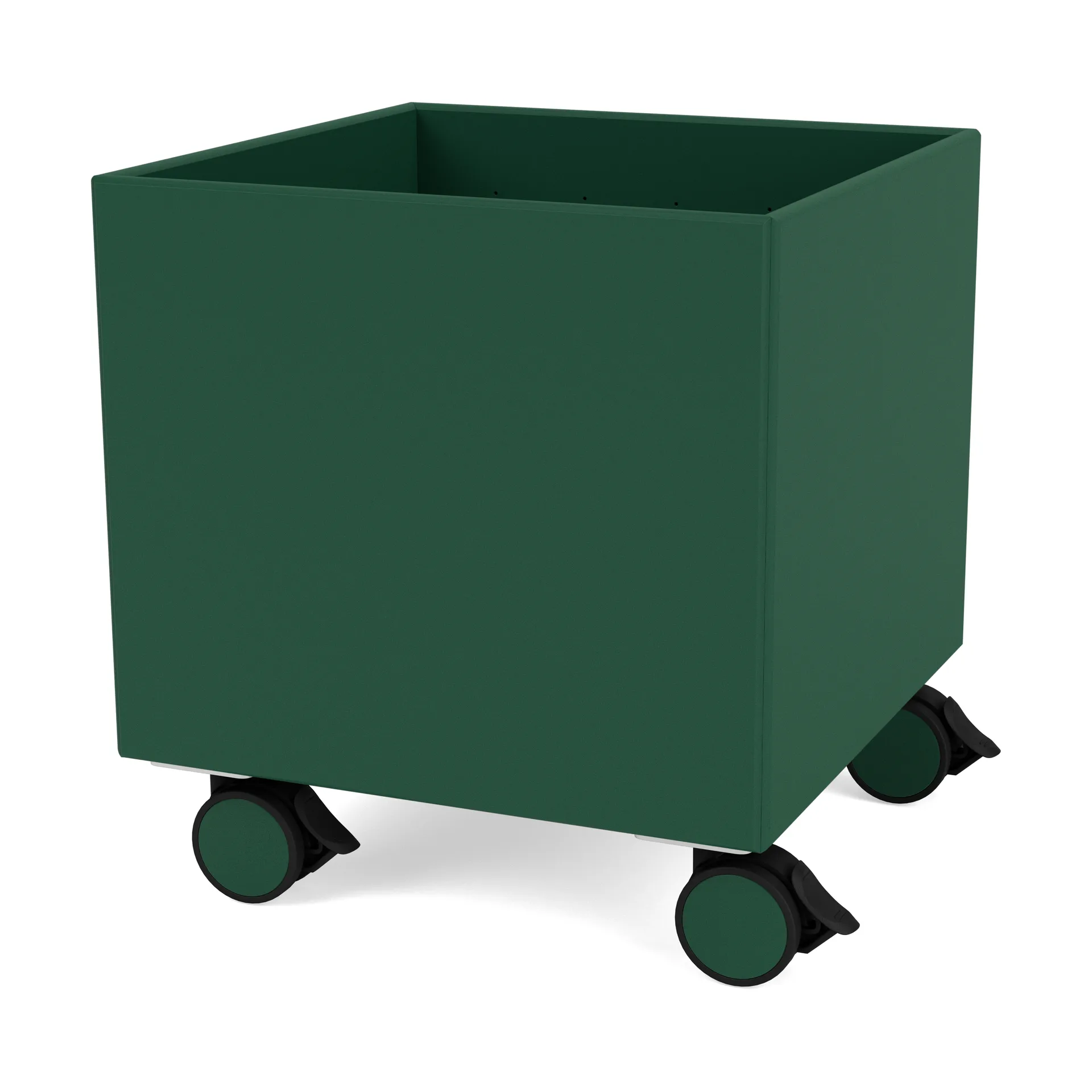 Colour Box I - S6161, Pine Montana