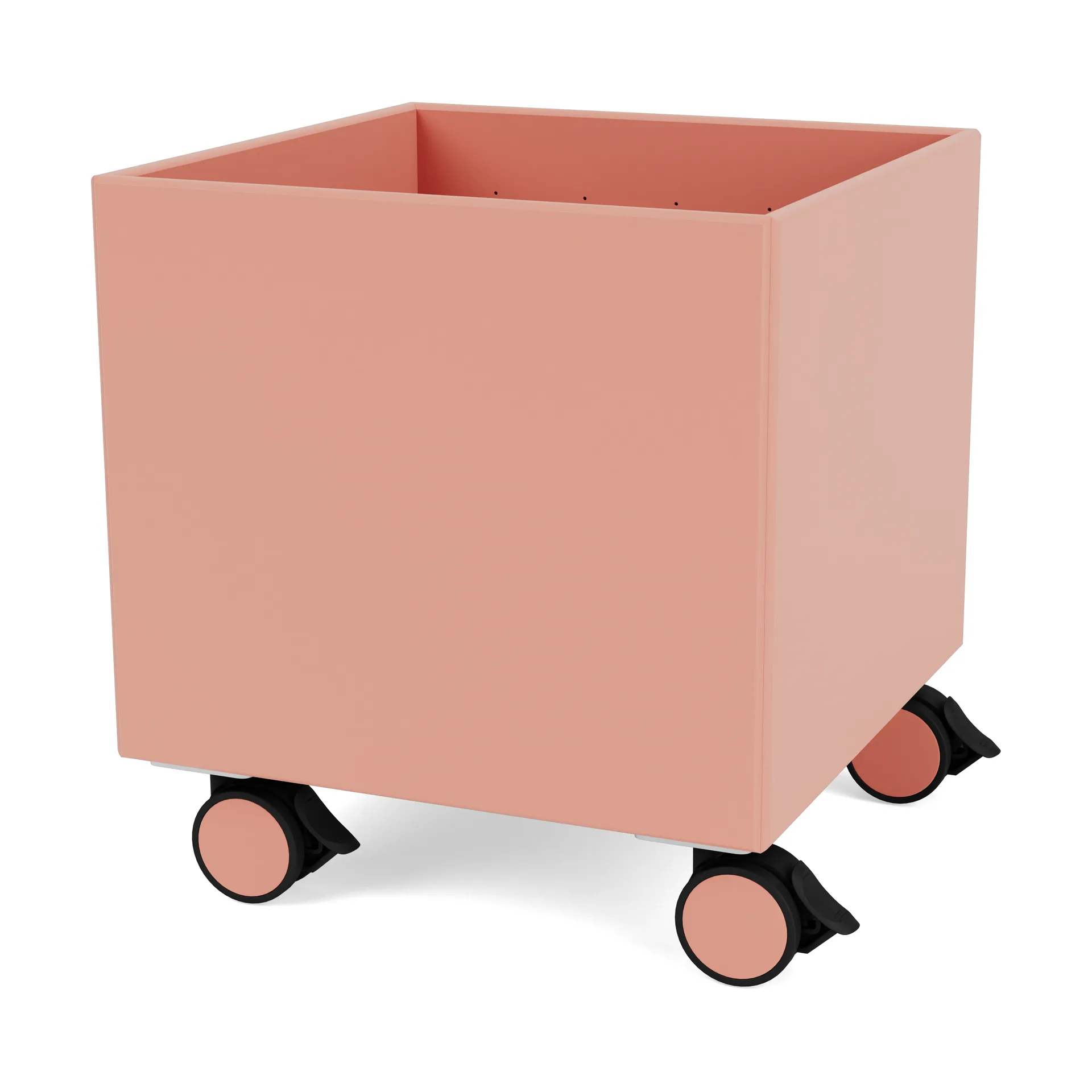 Colour Box I - S6161, Rhubarb Montana