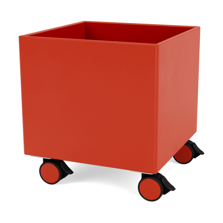 Colour Box I - S6161 - Rosehip - Montana