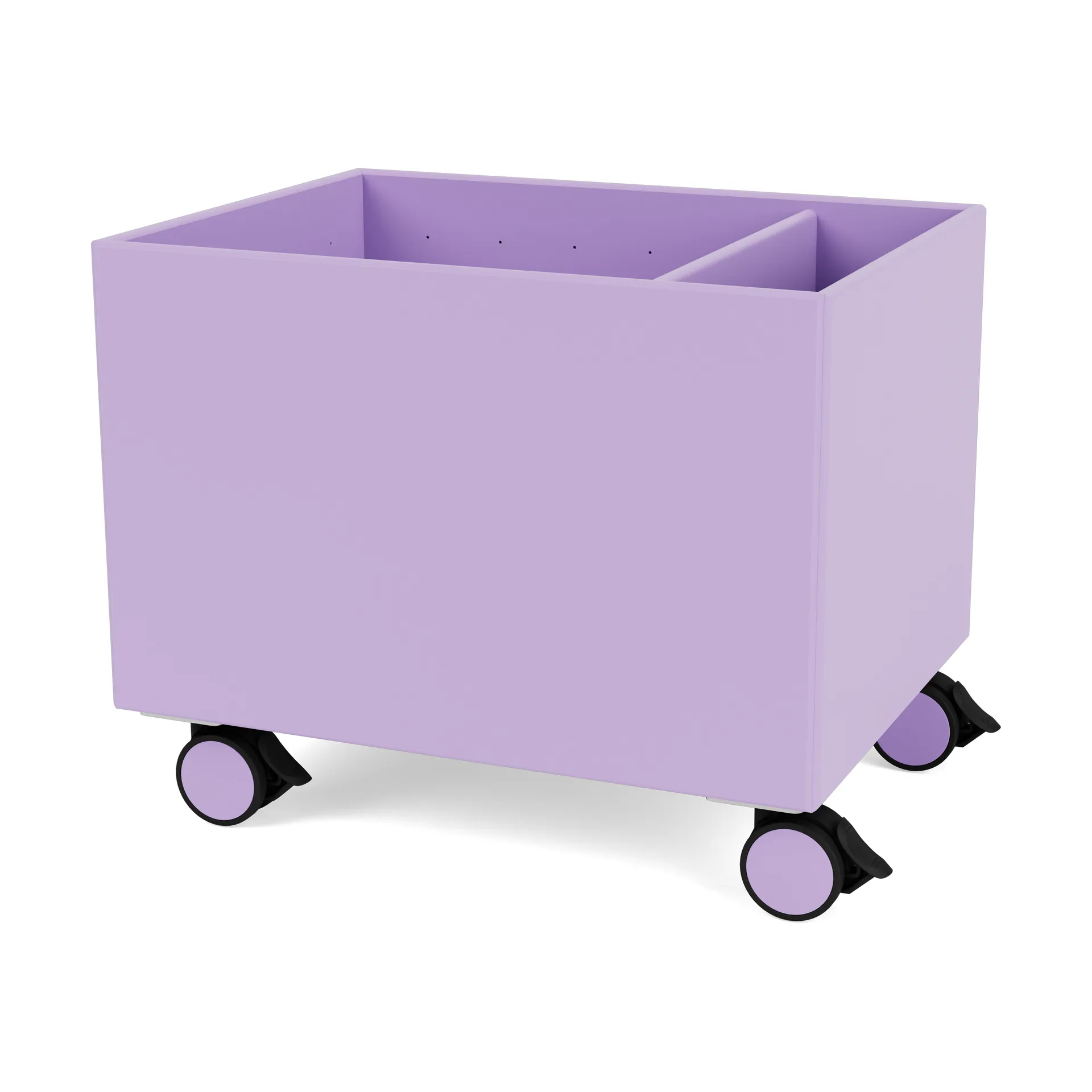 Colour Box II, Iris Montana